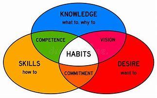 2 habits schemas